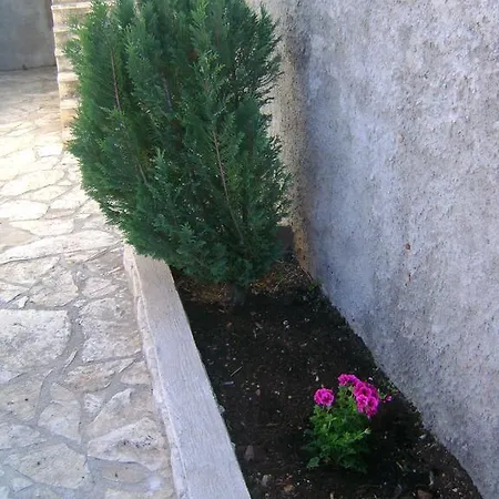 Lucija
