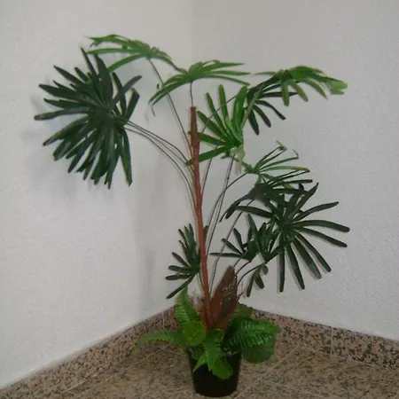 Apartament Lucija Brodarica (Sibenik-Knin)