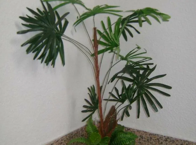 דירה Lucija ברודאריצה